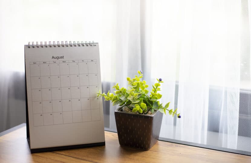 ᐅ Belegungskalender für Ferienwohnungen, Einbindung auf der eigenen Seite?