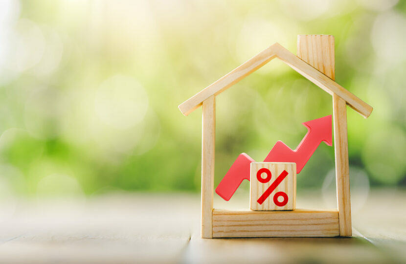 Occupancy rate in seasonal rentals: calculation, tips...