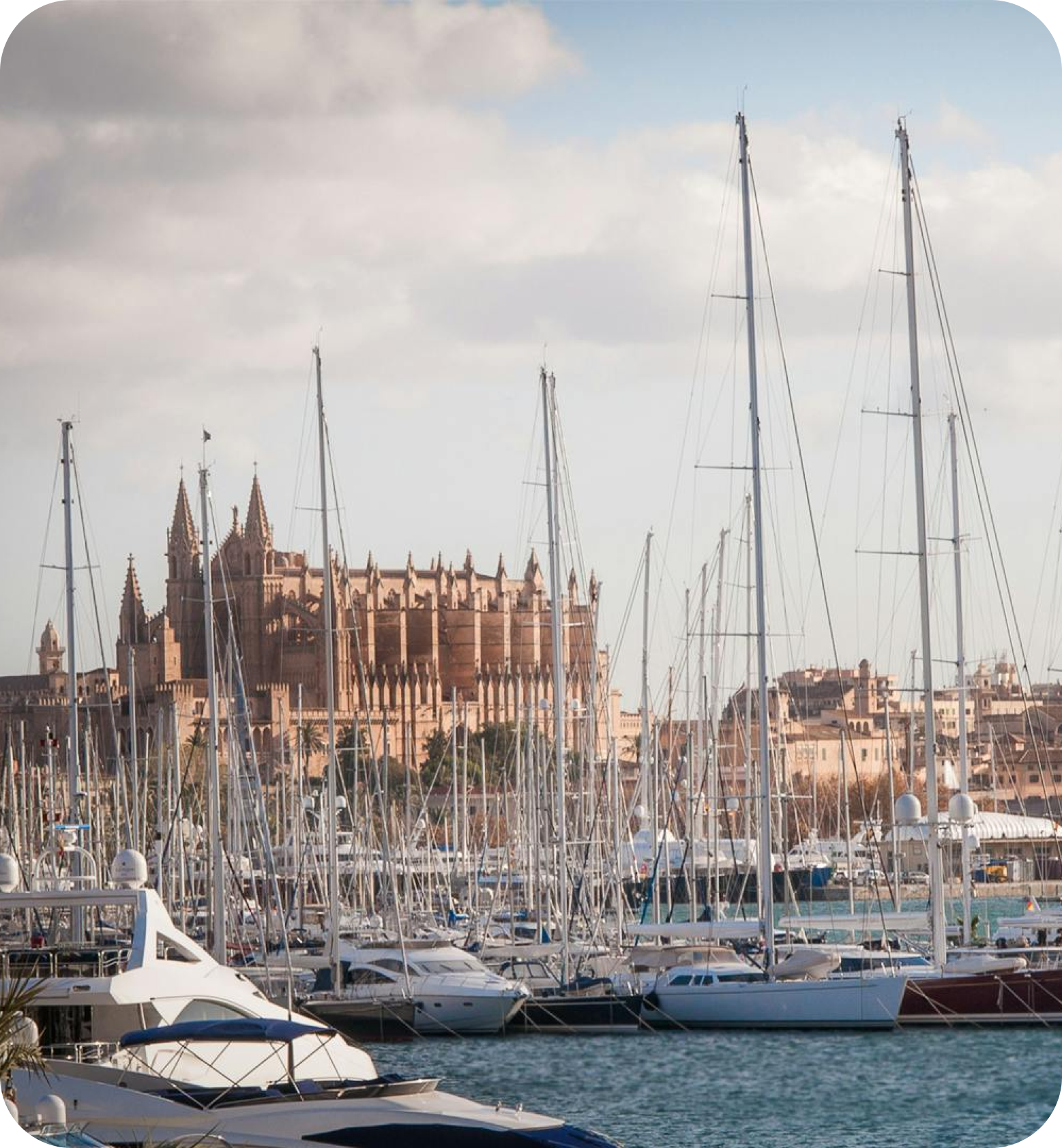 | Smoobu El Software de Alquileres Vacacionales en Palma de Mallorca